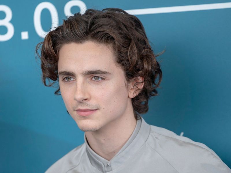 Timothee Chalamet wearing a grey suit at the Venice International Film Festival in 2019