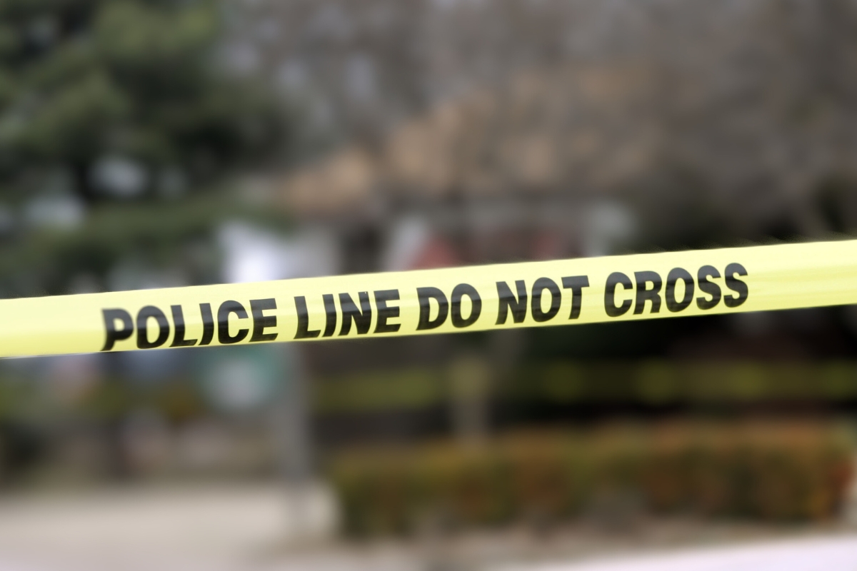 Gunman Kills Celebrity on Livestream