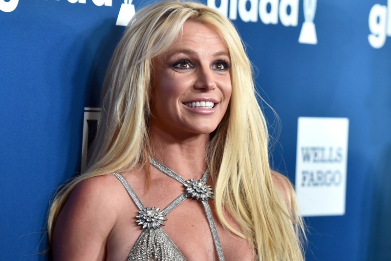 Britney Spears Shares Pictures of 'Beautiful' Family Amid Feud