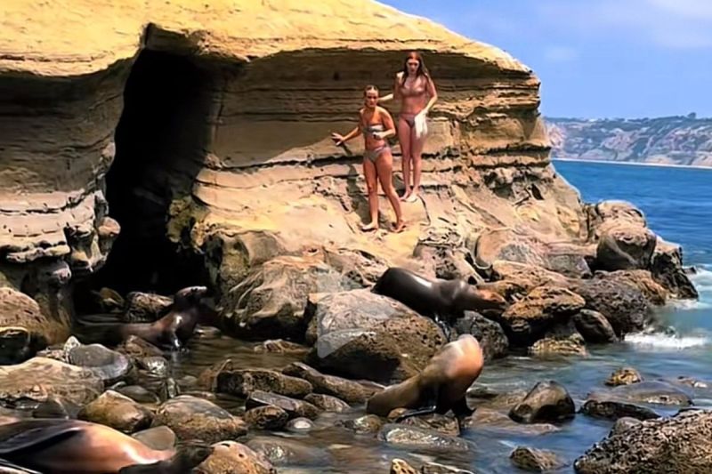 bikini-clad-tourists-chased-away-by-sea-lions-after-ignoring-warnings