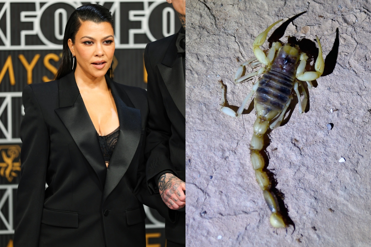 kourtney-kardashian-stung-by-scorpion-hiding-in-her-bathing-suit-bottoms