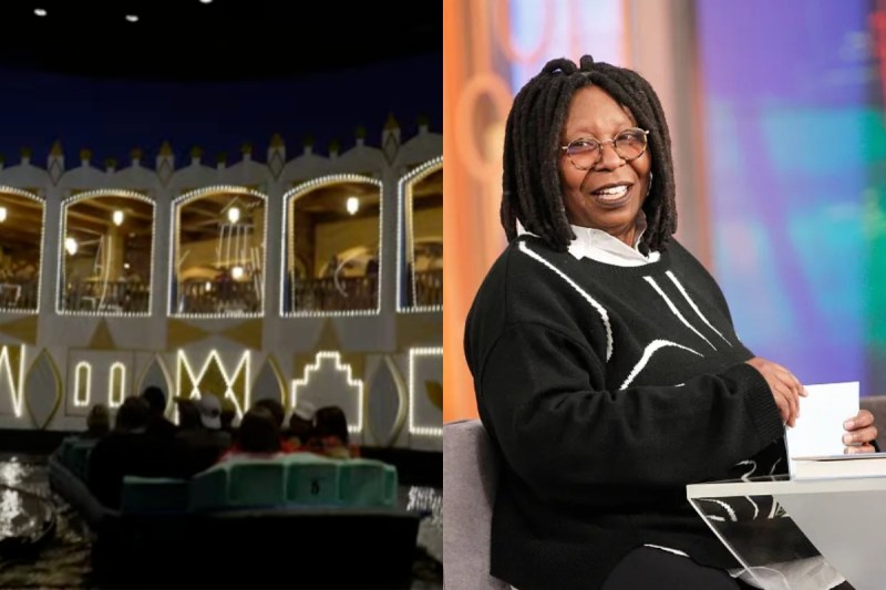 whoopi-goldberg-says-she-scattered-mothers-ashes-on-classic-disney-ride