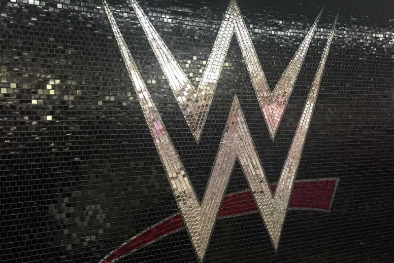 wwe-star-allegedly-fired-following-domestic-violence-allegations