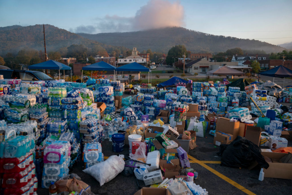 north-carolina-expecting-massive-increase-in-bee-stings-following-helene