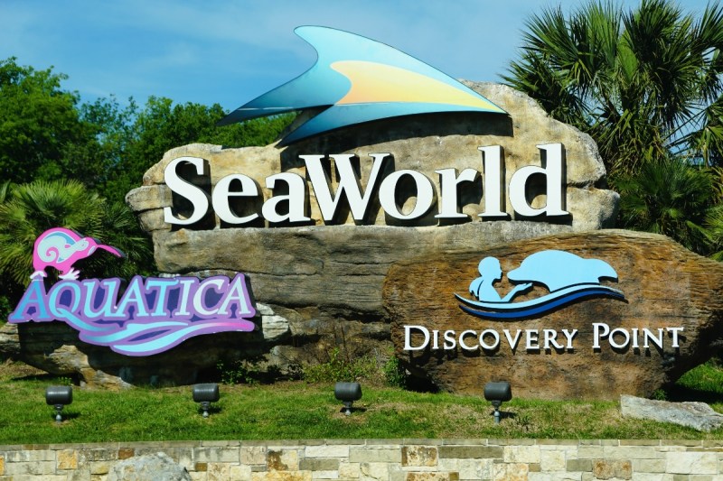 seaworld-visitors-left-gagging-after-killer-whale-splashes-feces-on-them-in-shocking-video