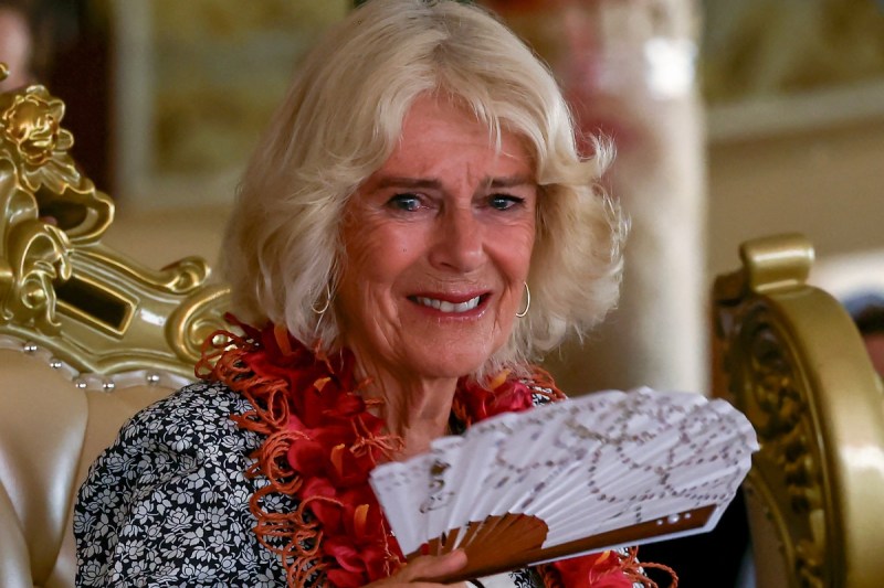queen-camilla-battling-illness-cancels-events-to-rest