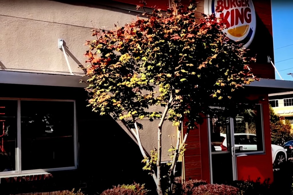 teenagers-killer-identified-36-years-after-she-was-found-dead