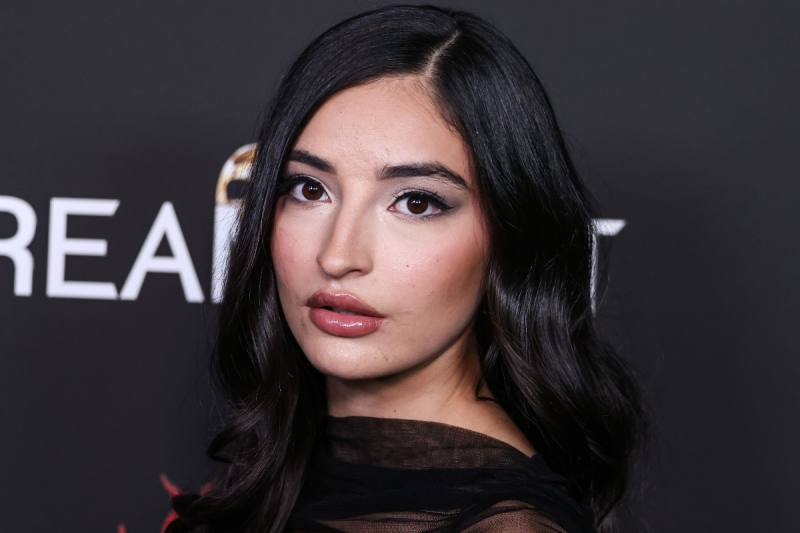 adult-film-star-emily-willis-permanently-disabled-family-reveals-in-lawsuit