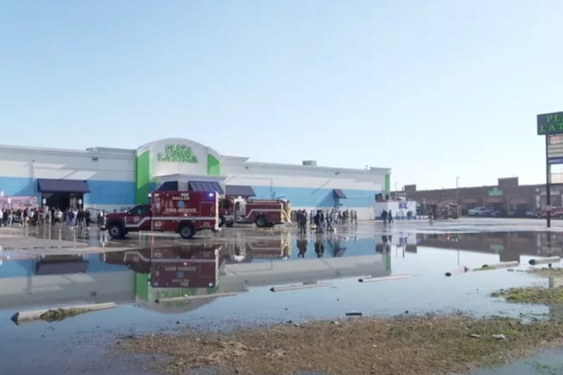 animals-fire-dallas-shopping-center