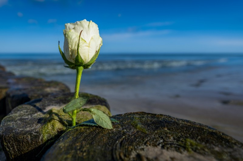 california-legend-dies-in-fire-more-on-randy-the-craw-miods-death