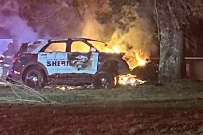 father-and-son-rescue-officer-and-k-9-injured-in-high-speed-car-crash