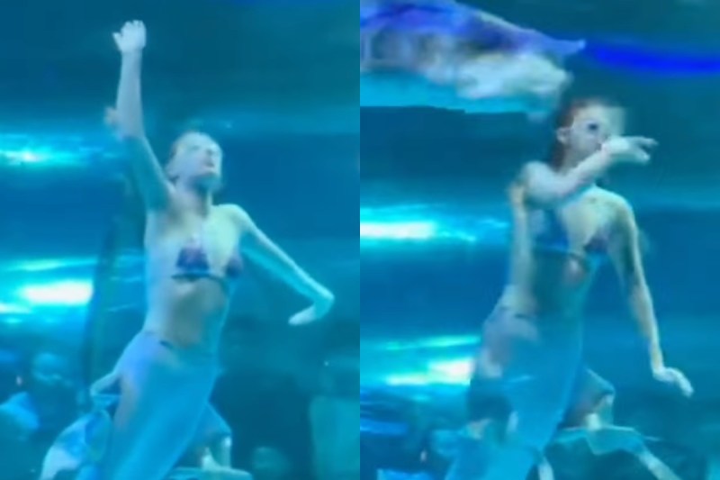 giant-fish-attacks-mermaid-performer-terrifying-aquarium-footage