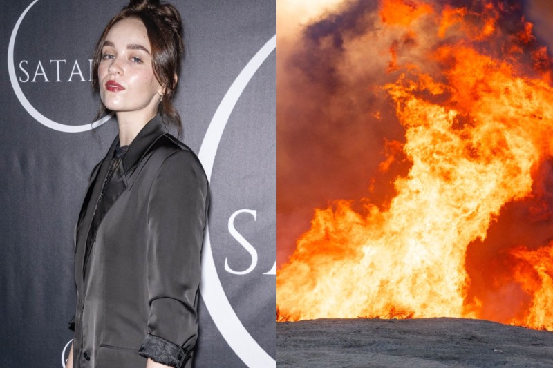 gossip-girl-actress-returned-to-los-angeles-amid-wildfires-to-save-her-cat
