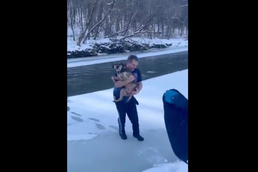 man-jumps-into-frigid-water-to-save-helpless-dog-in-wild-video
