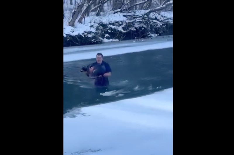 man-jumps-into-frigid-water-to-save-helpless-dog-in-wild-video
