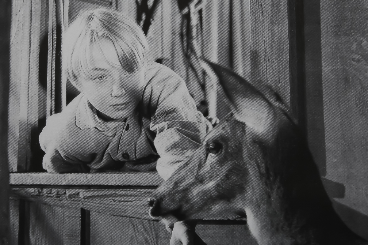 the-yearling-and-rio-grande-star-claude-jarman-jr-dead-at-90