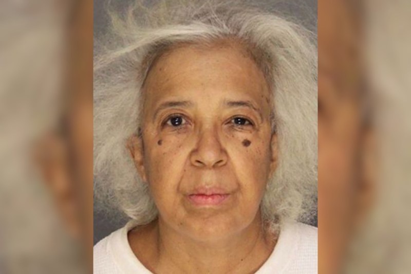 woman-accused-of-trying-to-sexually-assault-boy-she-paid-to-shovel-her-walkway