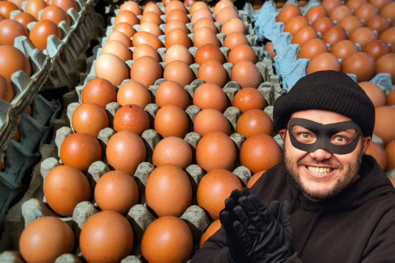 100000-eggs-stolen-from-pennsylvania-farm