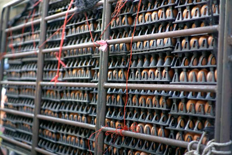 18-wheeler-full-of-eggs-crashes-shutting-down-major-freeway