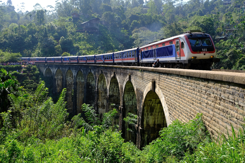 grandmother-dies-after-trying-to-take-selfie-while-hanging-off-train