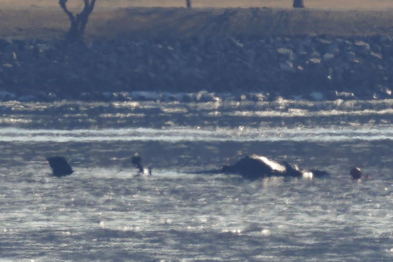 reality-tv-personalitys-father-died-in-d-c-plane-crash-dance-moms-star-hannah-epsteins-family-confirms-news