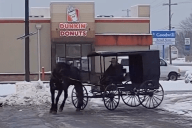 watch-amish-cart-driver-unexpectedly-does-epic-doughnuts-in-the-snow