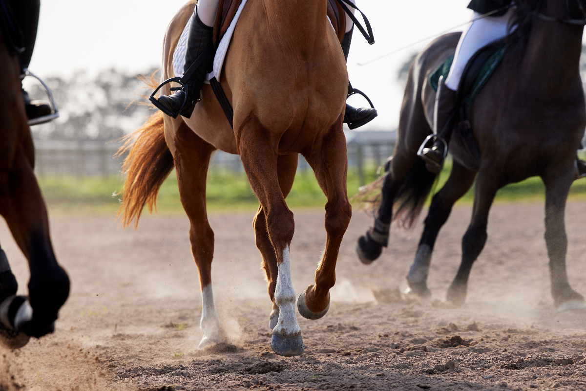 young-jockey-dies-after-falling-off-horse-mid-race-michael-osullivan-was-24