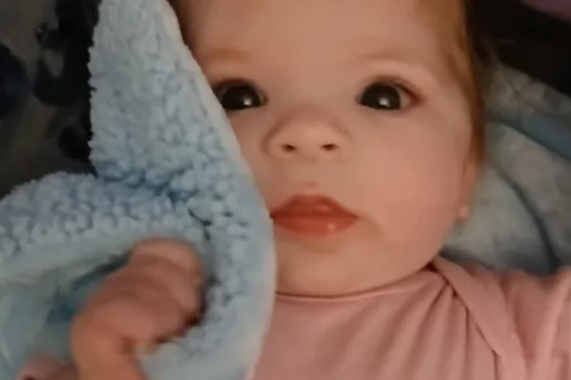 6-month-old-baby-killed-in-dog-attack