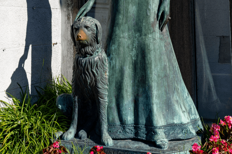 pet-cemetery-owner-tells-families-come-and-get-your-pets-claims-site-is-canceled