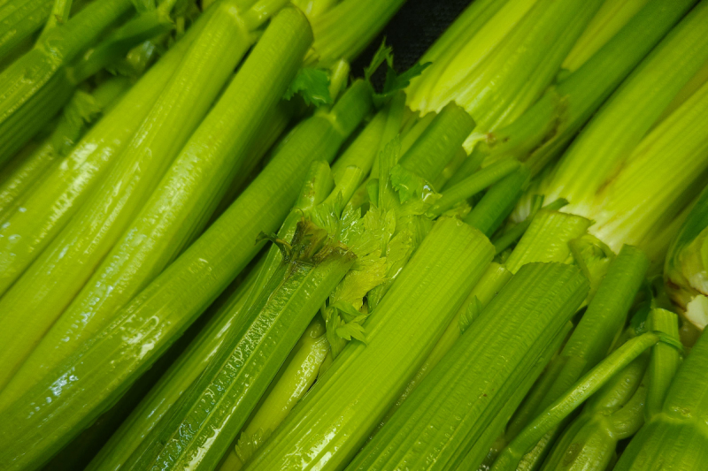 celery-recalled-from-walmart-in-30-states-over-listeria-concerns