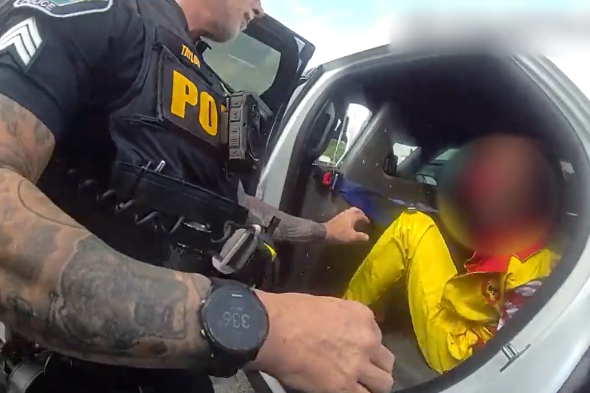 video-florida-man-dressed-as-ronald-mcdonald-gets-arrested