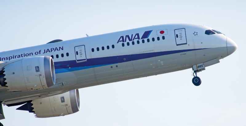 All Nippon Airways Plane