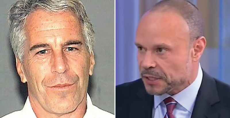 Jeffrey Epstein and Dan Bongino