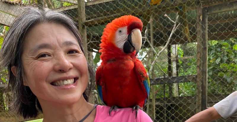 Tragic Update For Woman Who Went Missing Hiking In Japan