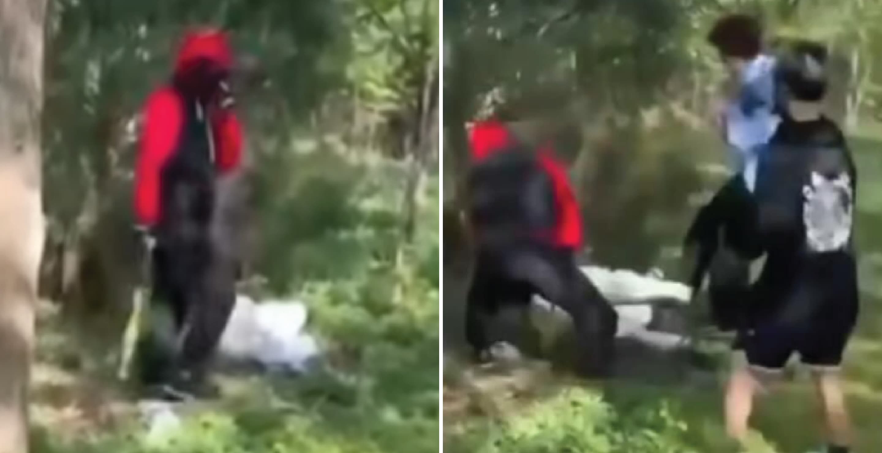 Teenage Girls Queens Park Attack