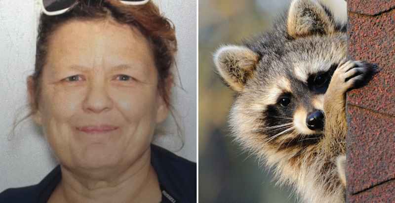 Victoria Vidal and Raccoon