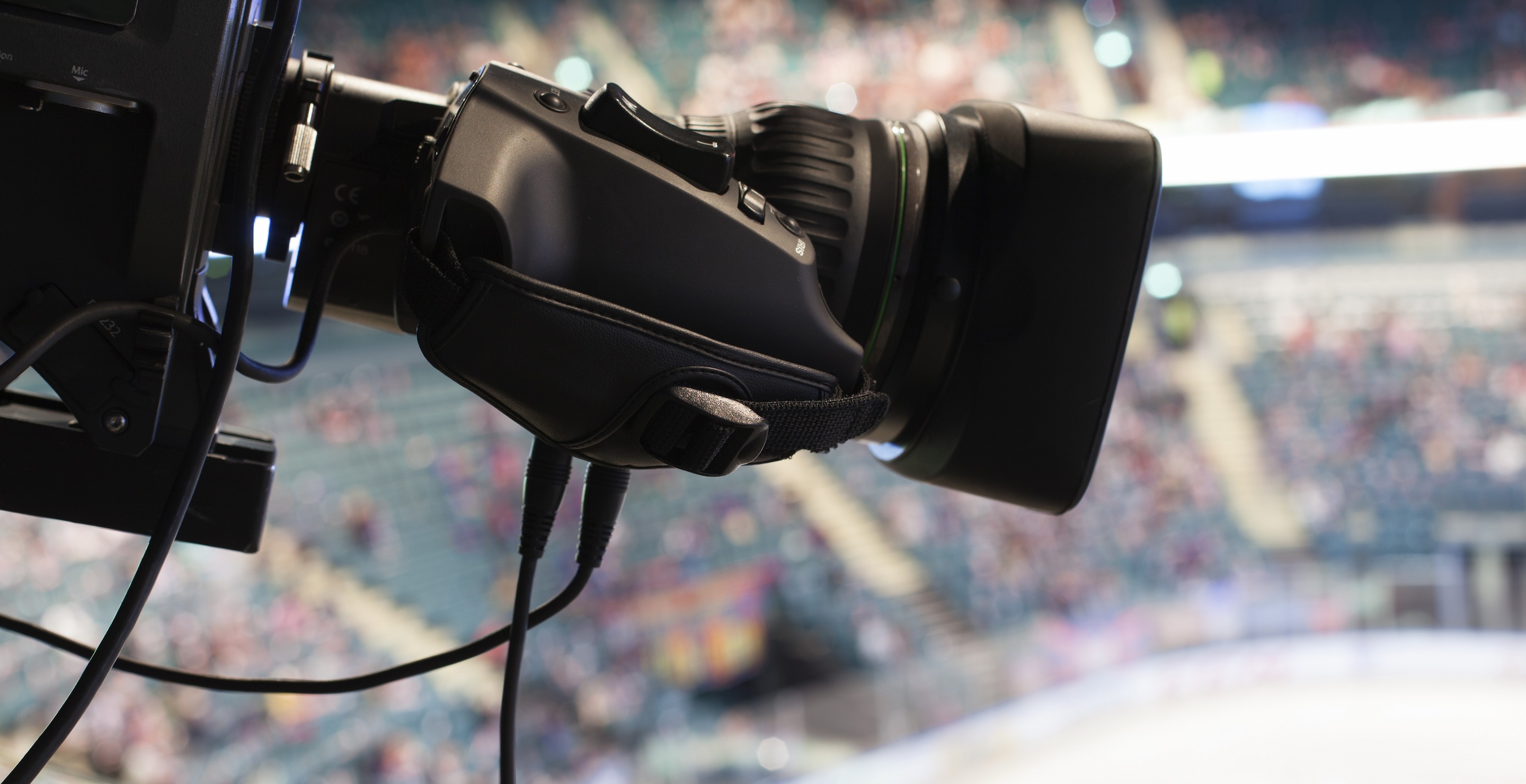 Hockey Broadcaster Attacked By Chair-Wielding Fan During AHL Playoffs