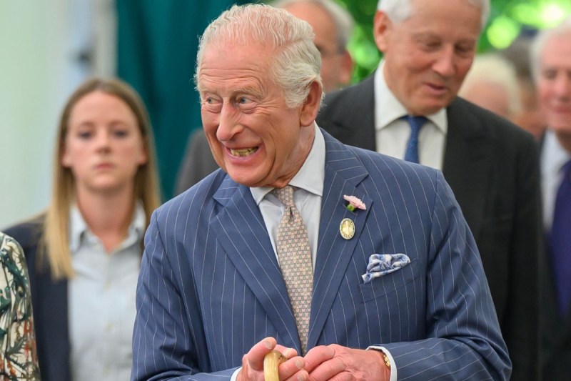 king-charles-north-america-tour-prince-harry-fallout