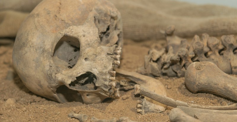 Woman Allegedly Lived With Remains Of Her 600 Pound Son For 9 Months