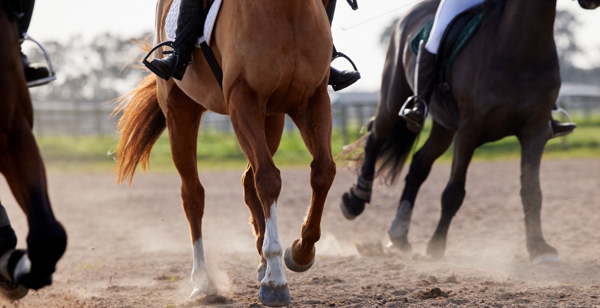 3YearOld Canadian Boy Dies After Being Hit By Starting Gate At Horse
