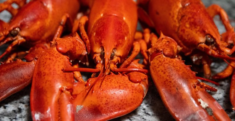 Massachusetts Food Director Accused Of Stealing Funds To Buy Lobster