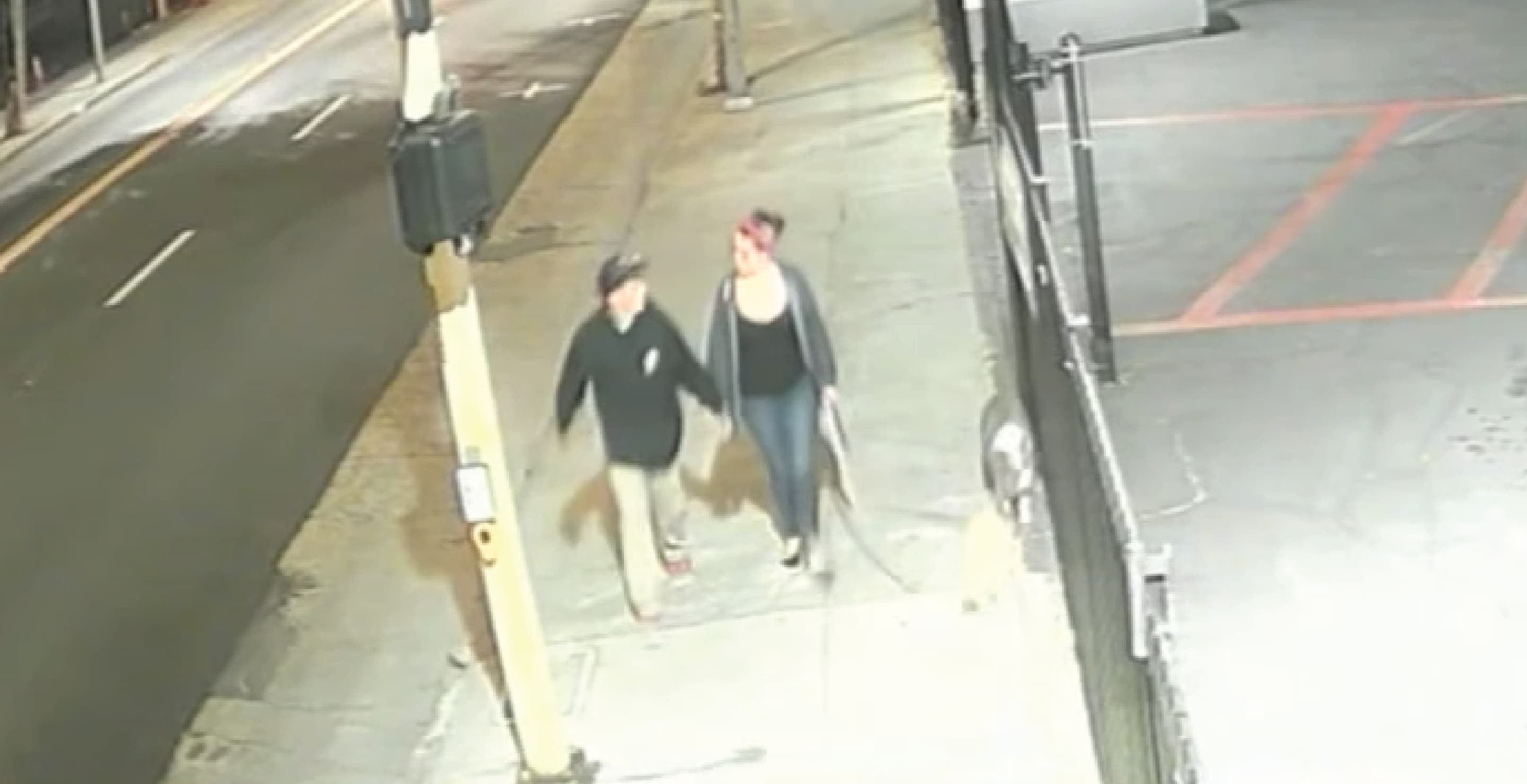 California Couple Walking Dogs