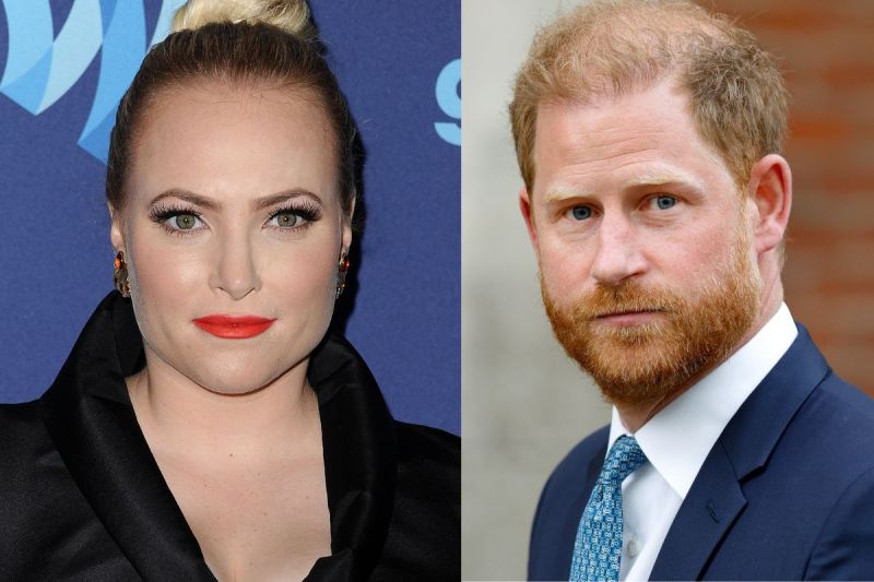 meghan-mccain-prince-harry-u-s-politics