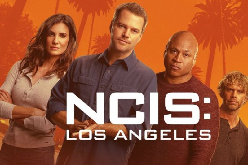 ncis-la-star-welcomes-fourth-child-months-after-losing-home-in-la-fires