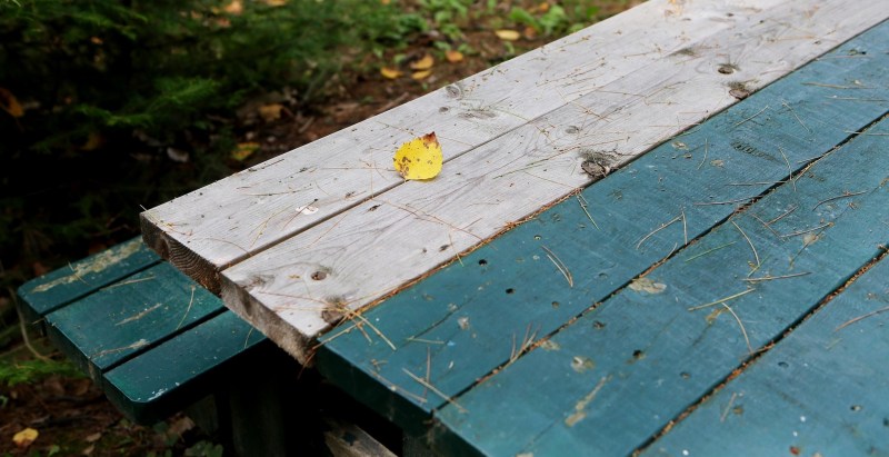 Teen Boy’s Lungs Collapse After Tripping And Falling On Minnesota Picnic Table