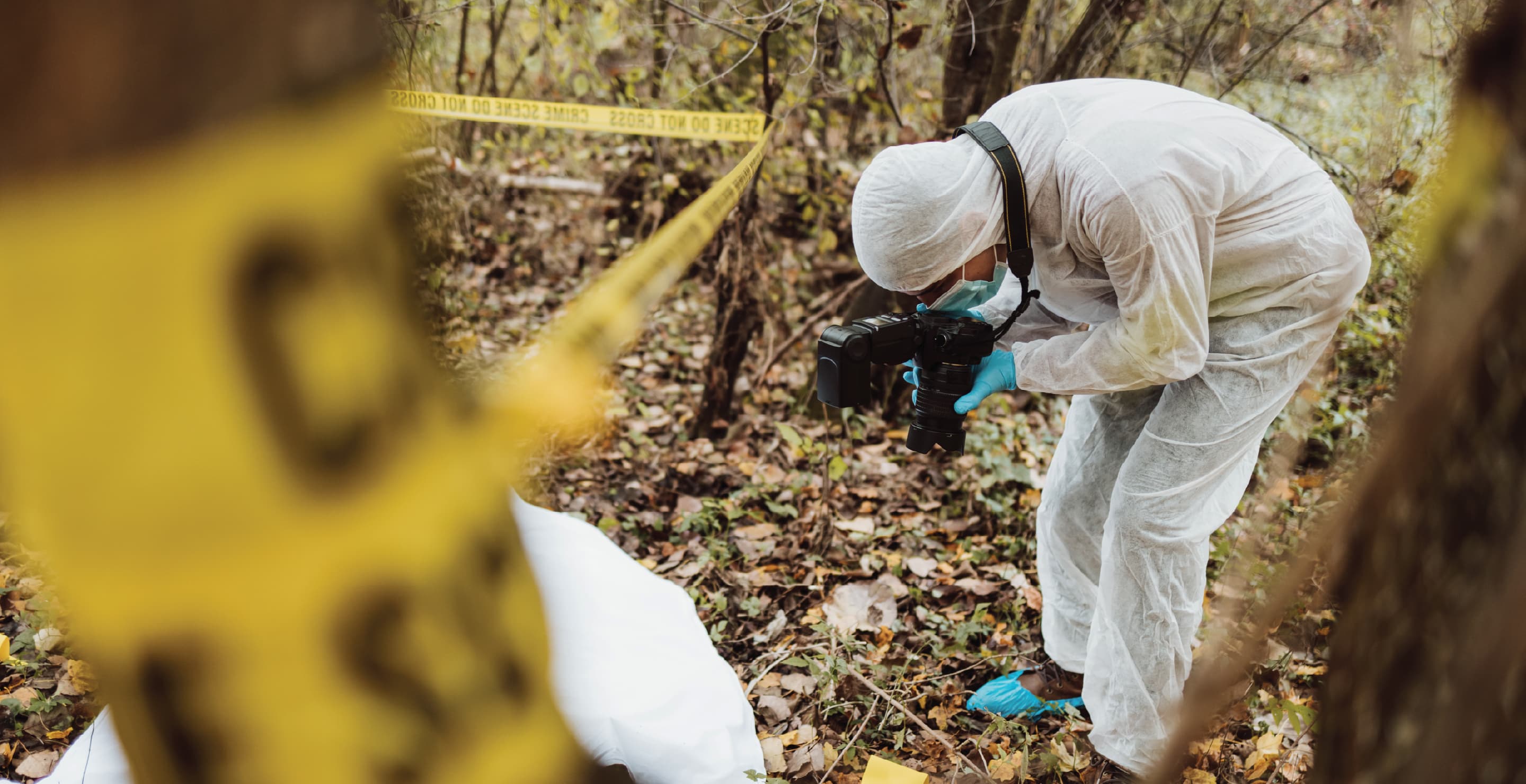 Forensics Team At Forest Scene