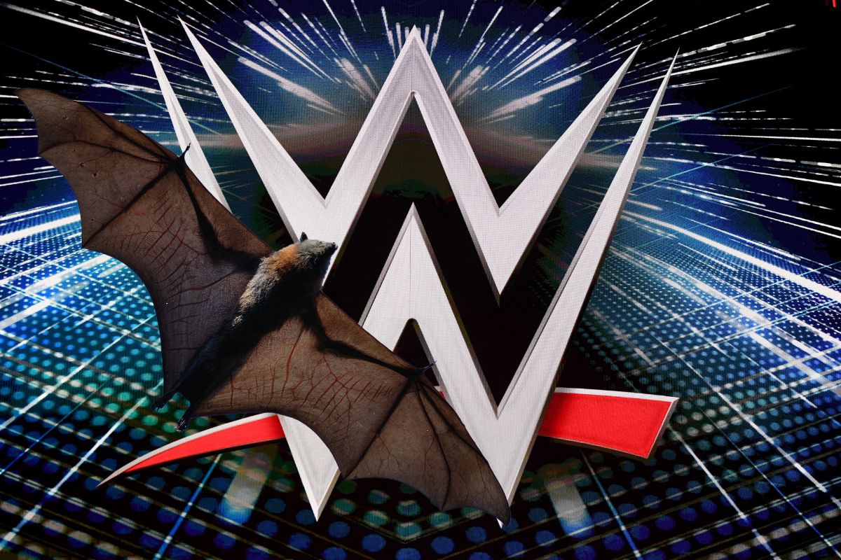 bat-bites-wwe-legend-leading-to-hospitalization