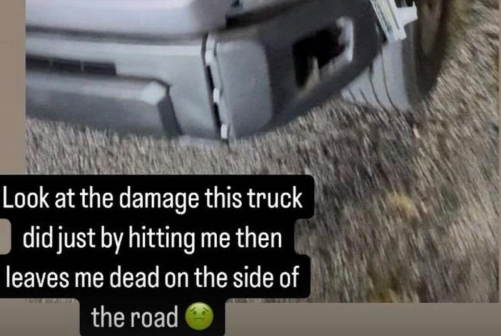 big-brother-star-left-for-dead-after-car-crash-truck