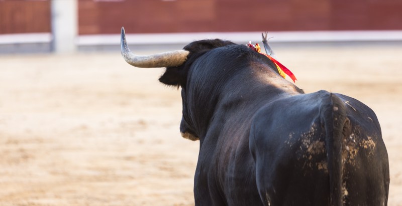 Bullfighter Gored To Death After Taunting Animal