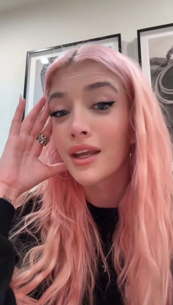 charlie-sheen-and-denise-richards-model-daughter-reveals-she-was-almost-kidnapped-tiktok